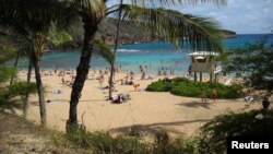 FILE - Sunbathers and snorkelers enjoying a beach day at Hanauma Bay, on the east side of Oahu, Hawaii.