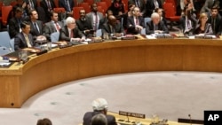 ABD temsilcisi Samantha Power (en sağda) Güvenlik Konseyinde oyunu kullanırken