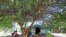 Nearly 1,800 South Sudanese Return From North