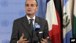 安理会当值主席、法国大使阿诺德就叙利亚问题答记者问