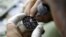 A watchmaker sets the time of a watch at a shop in Caracas, Venezuela, April 15, 2016. 