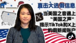 直击假信息：当美国之音遇上“美国之声”，揭示TikTok和X上的假新闻账户