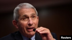 Anthony Fauci