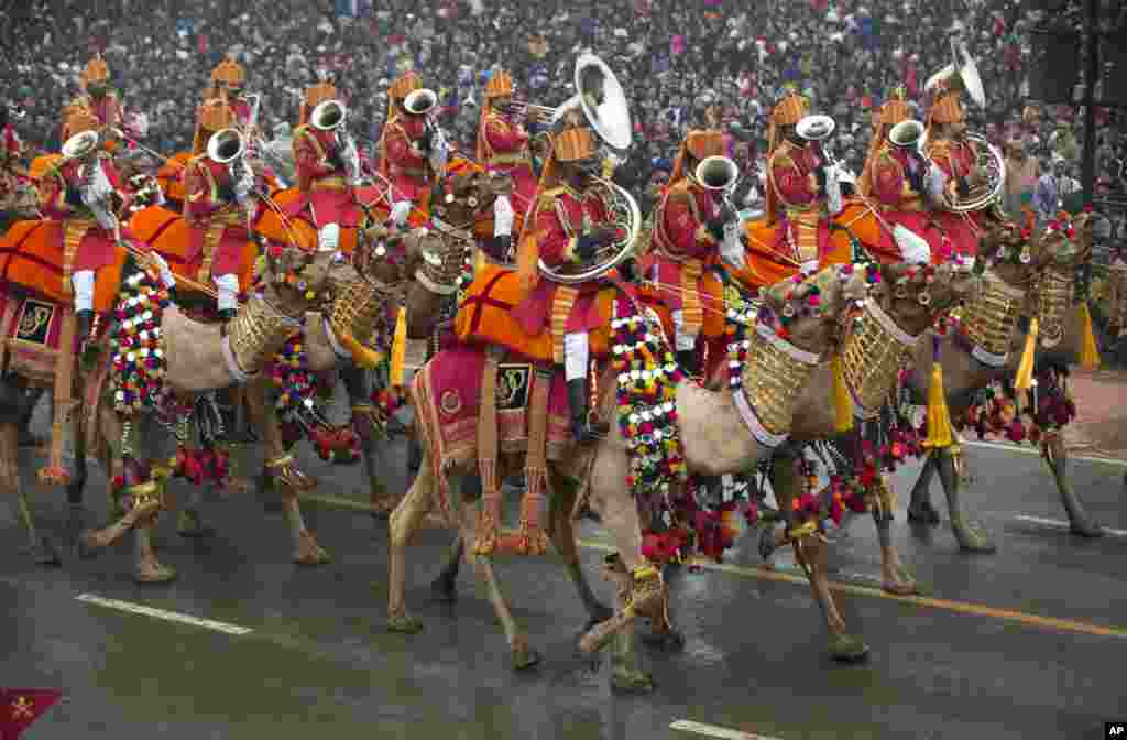 Musicians play brass instruments atop camels during the Republic Day Parade in New Delhi, India, Jan. 26, 2015.