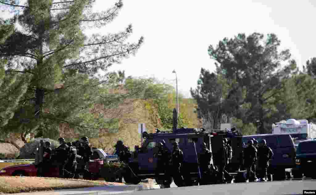 Members of a SWAT team prepare to enter the home of a suspected gunman who fired shots inside an office building during business hours, in Phoenix, Arizona, January 30, 2013. A gunman opened fire in the office building during a legal mediation meeting, shooting a lawyer and two other people before fleeing, officials said.