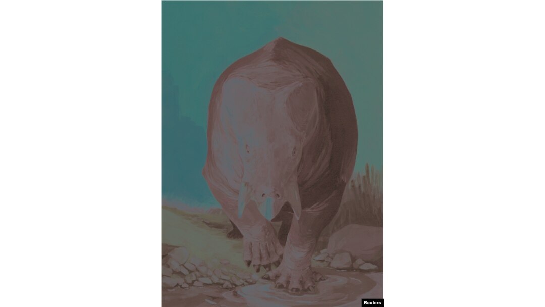 Artistic reconstruction of the front view of the Triassic period mammal cousin Lisowicia bojani is pictured in this illustration handout, Nov. 21, 2018.