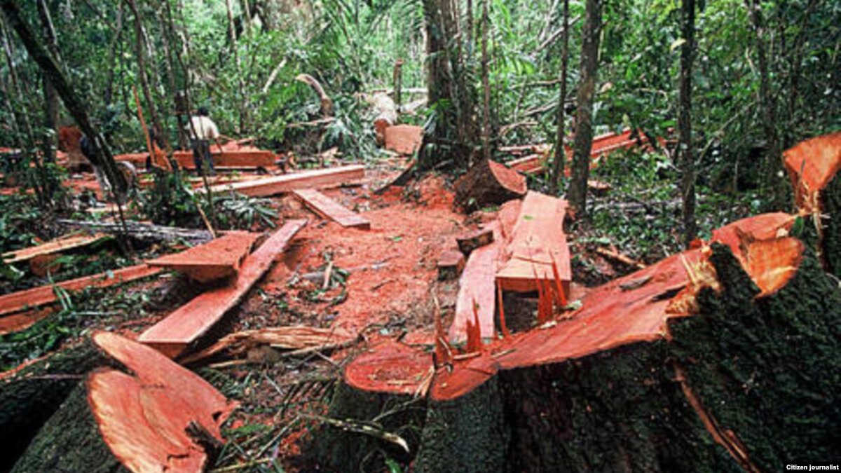 What Does It Mean To Be Stumped 