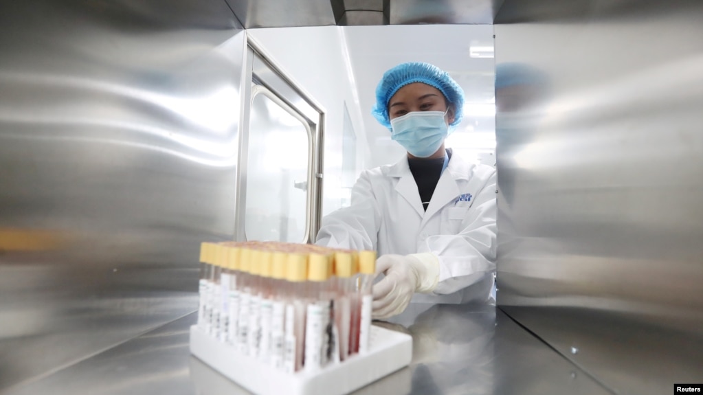 位于云南昆明的中国华大基因集团实验室的科技人员在工作。（2018年12月26日）(photo:VOA)