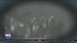 اخبار شامگاهی