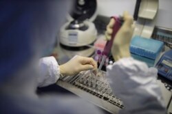 FILE - A medical staffer works with test systems for the diagnosis of coronavirus, at the Krasnodar Center for Hygiene and Epidemiology microbiology lab in Krasnodar, Russia, Feb. 4, 2020.