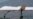 Suspected US Drone Strike Kills 4 in Pakistan
