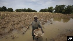 Un cultivateur du nord du Nigéria, victime des inondations de 2010