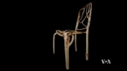 Botanists Grow Furniture, with Pruning Shears