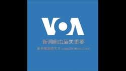 首尔民众示威 要求尹锡悦下台