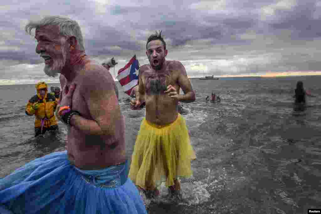 Nyu-York - Coney Island, Atlantik okeanında illik Ağ Ayı mərasimi &nbsp;