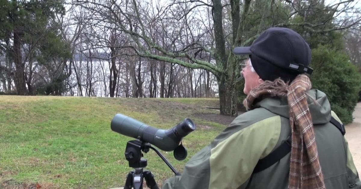 Us Bird Count Shows Climate Change Affecting Migration Patterns