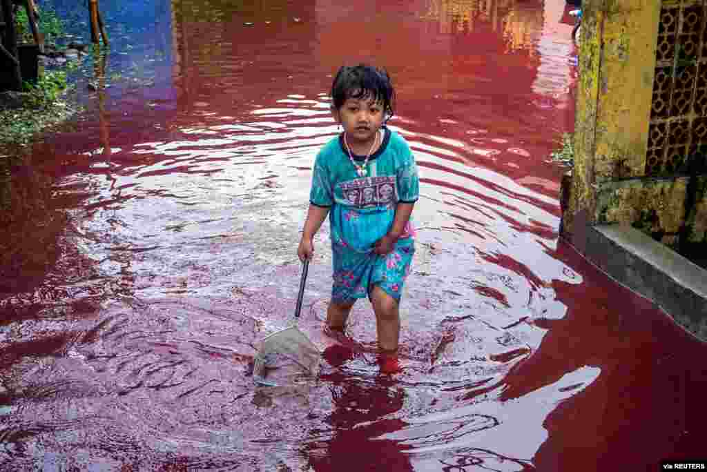 A girl walks through a flooded road with red water due to the dye-waste from cloth factories, in Pekalongan, Central Java province, Indonesia, Feb. 6, 2021. (Antara Foto)