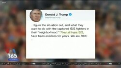 اخبار شامگاهی