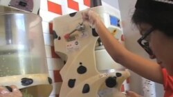 US Melting Pot Adds Flavor to Ice Cream