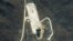 Satellite image provided by DigitalGlobe shows the Tongch'ang-ni Launch Facility on North Korea's northwest coast, April 6, 2012.
