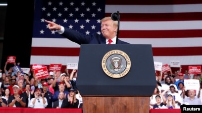 President Donald Trump Collusion Delusion 2020 Election President Donald Trump Collusion Delusion 2020 Election