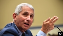 FILE - Dr. Anthony Fauci, director of the National Institute for Allergy and Infectious Diseases, speaks on Capitol Hill in Washington, July 31, 2020. (Kevin Dietsch/Pool via AP)