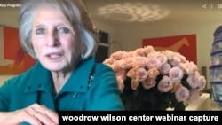 제인 하먼 우드로윌슨센터 소장이 미한 동맹에 대한 웨비나에서 발언하고 있다.