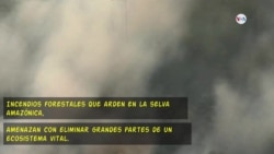 El Amazonas arde y el mundo pide acción