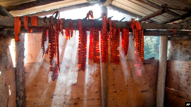 Salmon hangs on a drying rack at a fish camp in Fort Yukon, Alaska, in this undated photo provided by the Tanana Chiefs Conference.