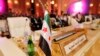 عرب لیگ اجلاس میں شامی حزب اختلاف کی نمائندگی