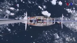 Arktikada okean buzu sürətlə əriməyə davam edir