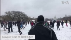 Bolas de nieve en Washington