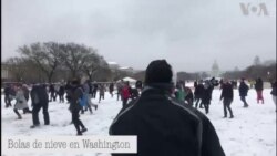 Bolas de nieve en Washington