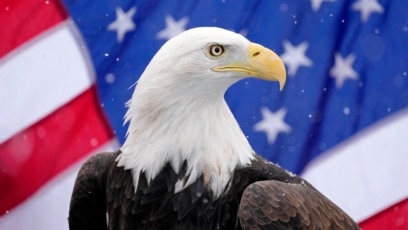 4709f187-fc90-4c75-a6a5-21f0d7678873_cx0_cy9_cw0_w408_r1.jpg