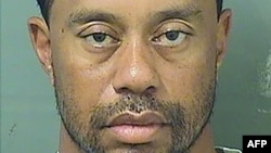 This booking photo obtained May 29, 2017 courtesy of the Palm Beach County Sheriff's Office, shows Tiger Woods.