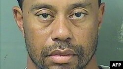 An employee takes the temperature of a cat at the reopened Caturday Cat Cafe, which had been temporarily shuttered due to concerns about the spread of the COVID-19 novel coronavirus, in Bangkok.