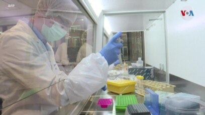 Un equipo de investigación internacional secuencia el genoma de las habas -  Fundacion Antama