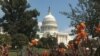 Washington Week: Focus on US Immigration Reform