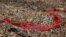 FILE - Police tape litters the ground at the scene of a shooting in Chicago, Ill., Feb. 15, 2017. 