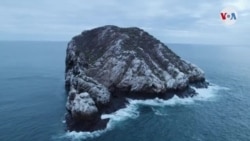 Enjambre flotante: El futuro incierto de las islas Galápagos