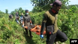 Para petugas konservasi memindahkan seorang orangutan Sumatra (tengah) dari sebuah perkebunan kelapa sawit ke lokasi yang lebih aman di Desa Geulagang Gajah, di Provinsi Aceh, 3 Agustus 2018.