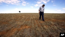 Farmer Ed Fagan inspects the rows of seeds on his property near the western New South Wales town of Cowra (file photo)