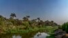 Palms line the banks of the Mariotia Canal in Cairo, September 4, 2021. (VOA/Hamada Elrasam)