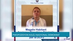 Kolèj Nasyonal Demokrat Ayiti Mande Tèt Ansanm ant Tout Sektè Ayiti 