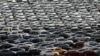 US-Japan Trade Deal Hits Snag as Tokyo Seeks Assurances on Car Tariffs