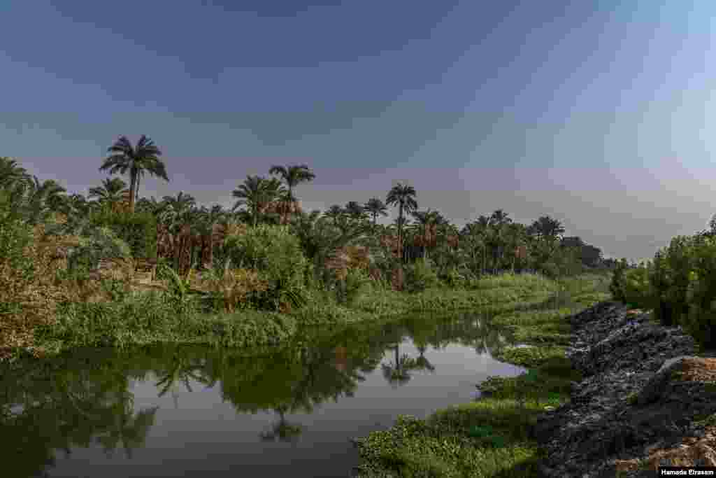 Palms line the banks of the Mariotia Canal in Cairo, September 4, 2021. (VOA/Hamada Elrasam)