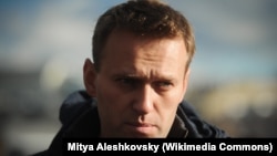 러시아 야권 지도자 알렉세이 나발니