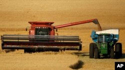 FILE - Winter wheat is harvested in a field near McCracken, Kansas, June 15, 2018.