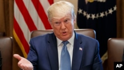President Donald Trump speaks during a Cabinet meeting in the Cabinet Room of the White House, July 16, 2019. 
