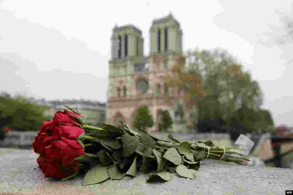 Roses have been laid near Notre Dame Cathedral a day after a fire devastated the cathedral in central Paris, April 16, 2019. 